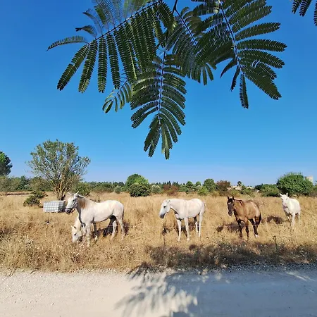 ベッド・アンド・ブレックファスト Mon Eden Meynes