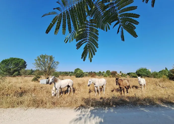 فندق مبيت وإفطار Mon Eden Meynes